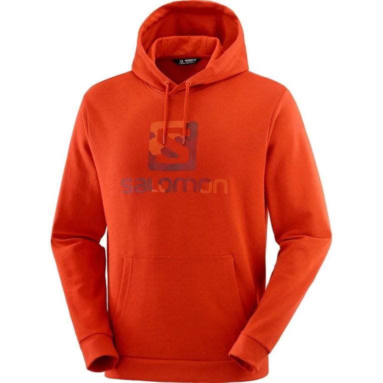 Red Salomon Outlife Logo Summer Men's Hoodie | PH 87905K